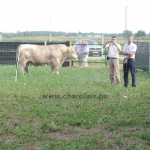 WCC2008
